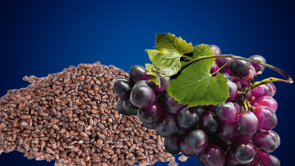 Grapeseed extract