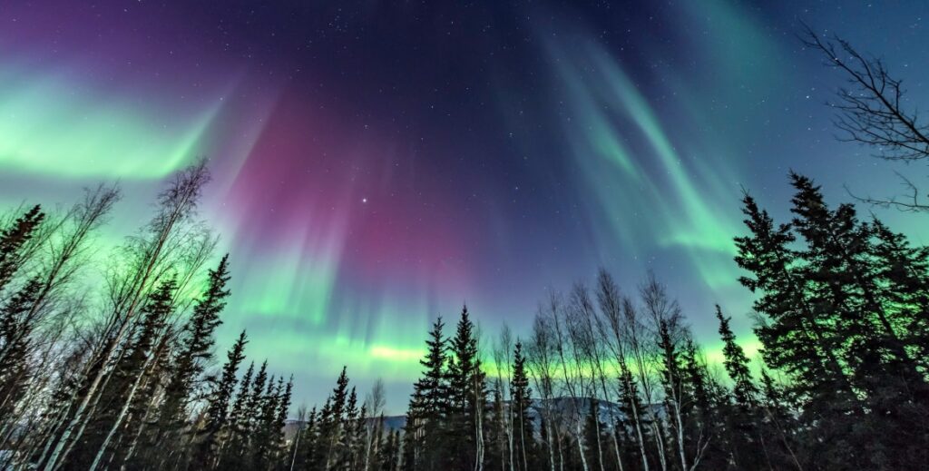northern lights